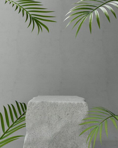 A concrete block with a green plant on top of it.