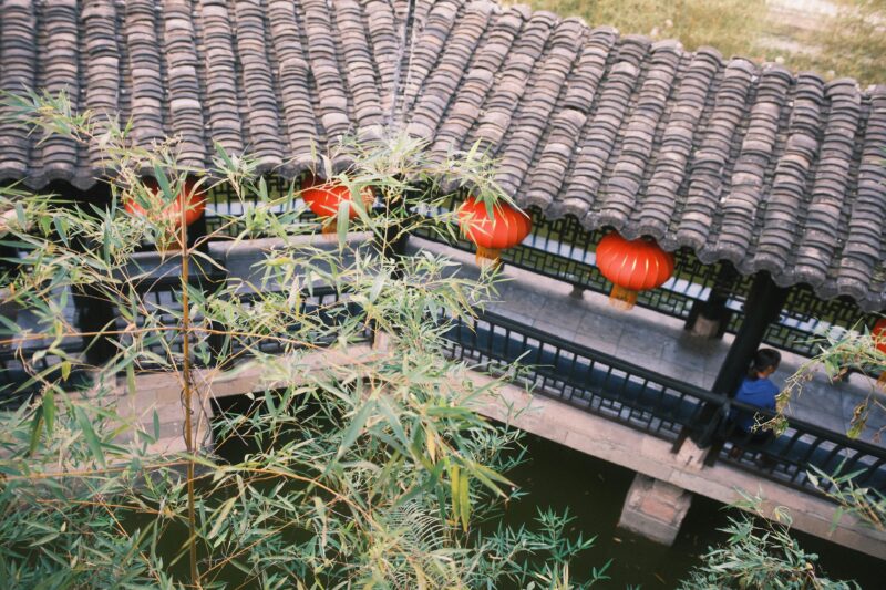 A view of a roof with red tomatoes hanging from it