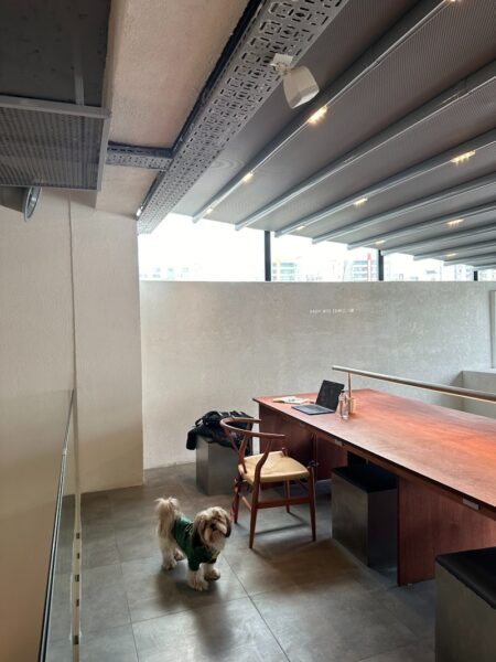 A dog standing in a room with a desk and chair