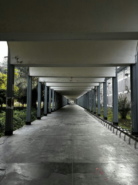 A long walkway lined with benches next to trees