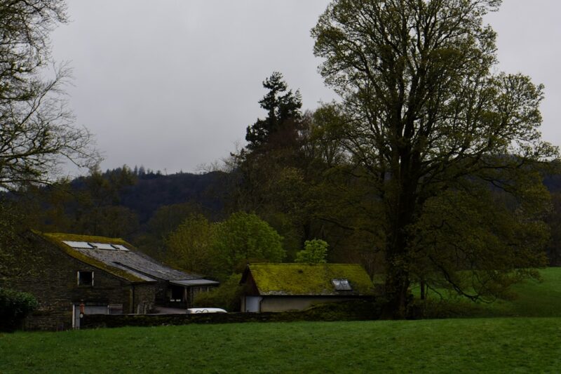 A house with a green roof in the middle of a field.