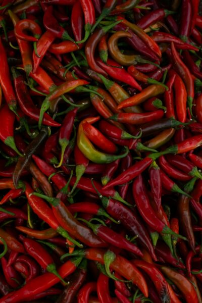 A pile of red chili peppers