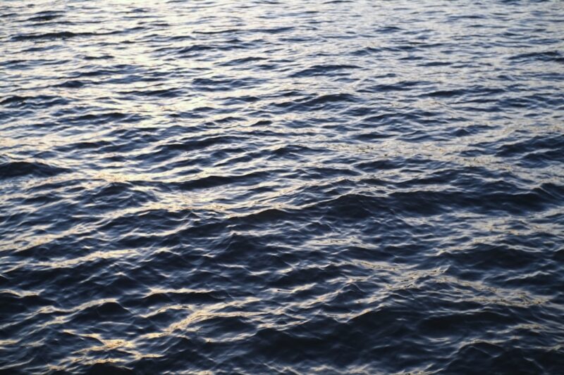 The image shows the shimmering surface of water.
