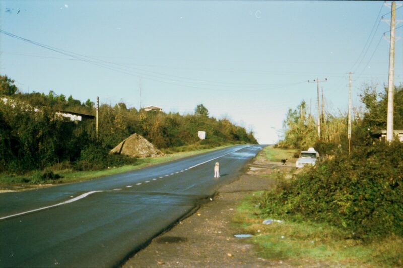 A winding road stretches onward through lush greenery.