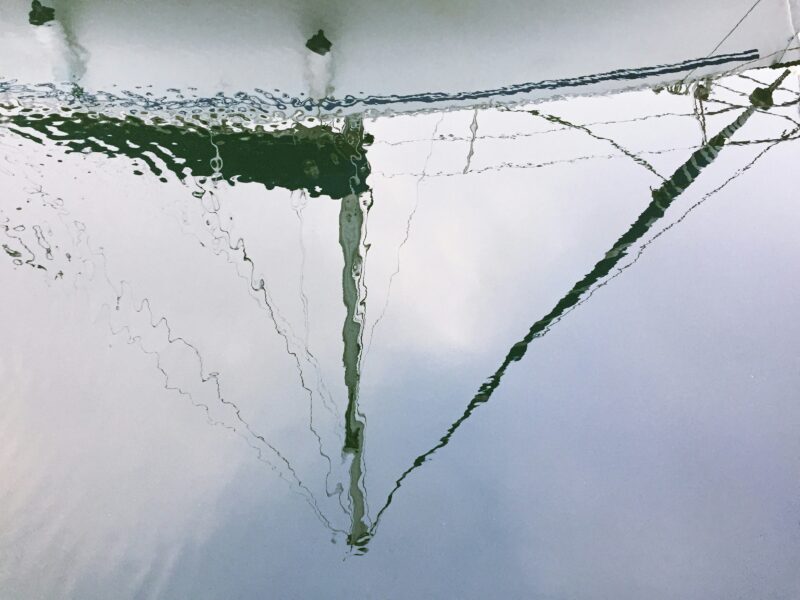 Green plant with water droplets