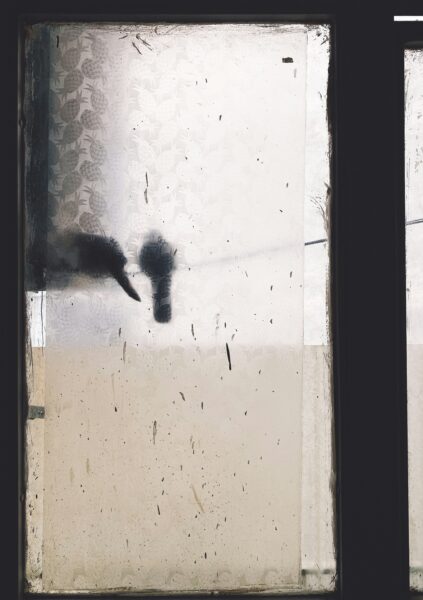 A black and white photo of a cat looking out a window