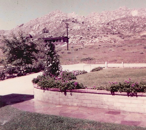 View from the driveway - June 1954