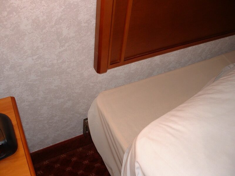 Inspecting for Bedbugs