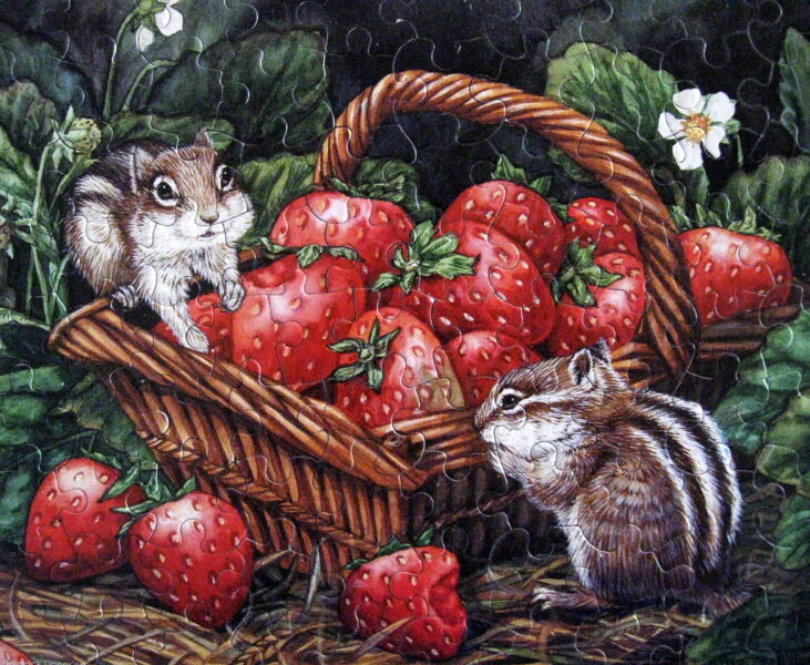 'Chubby Chipmunks'