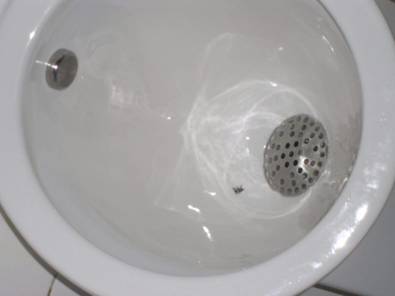 toilet fill valve keeps running