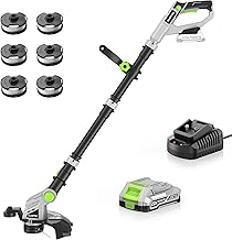 Weed Wacker Cordless 20V 12'' Electric Weed Eater with Auto Line Feed, 2.0Ah Battery and Fast Charger, 6 x Replacement Line, Battery Powered String Trimmer for Lawn Care, GrassTrimmer (AD-ST-001.1)
