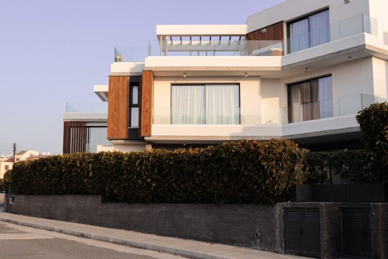 The Genesis of Modern Home Design Beginner's Guide to design a modern home architecture