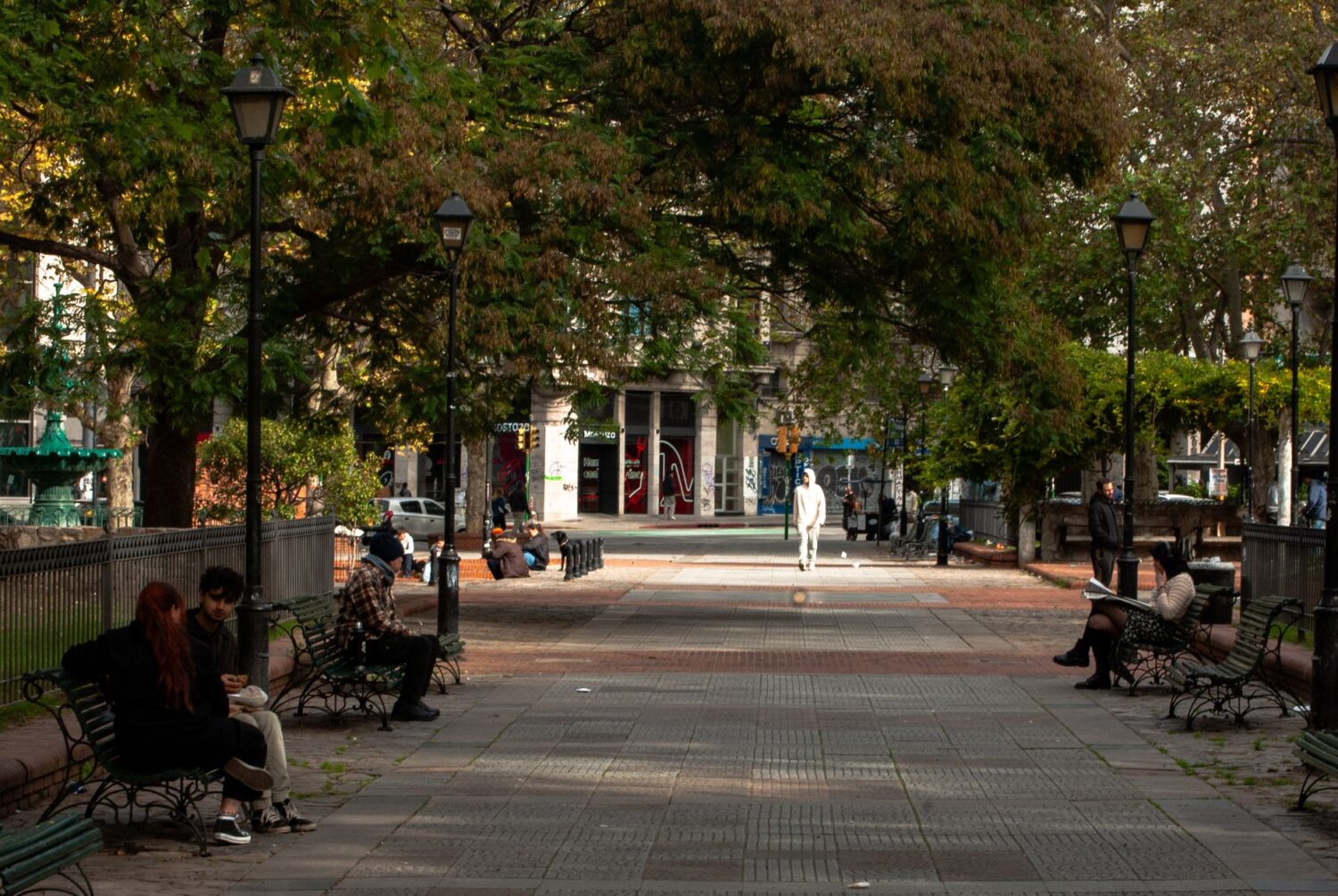 Benches under trees show how public seating supports everyday social life in city parks and sidewalks.