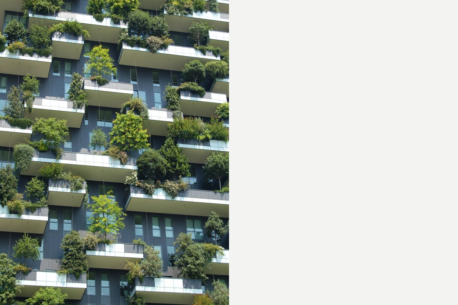 Top 10 Interior and Exterior Design Ideas for Sustainable and Functional Homes featured collage