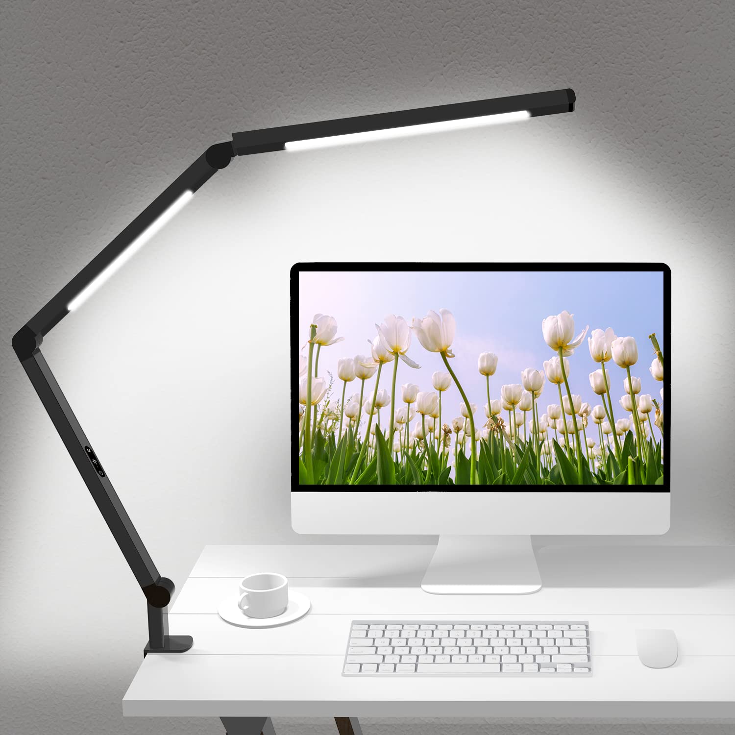 LED Desk Lamp with Clamp, Architect Desk Lamp with Dual Light and Adjustable Swing Arm, Clip-on Eye-Care 4 CCT Modes &amp; 5 Brightness Levels Table Light Modern Computer Lighting for Home Office