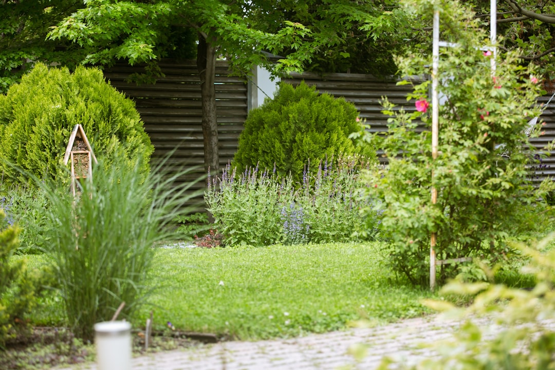 Green garden with diverse plants, a birdhouse, and stone path.