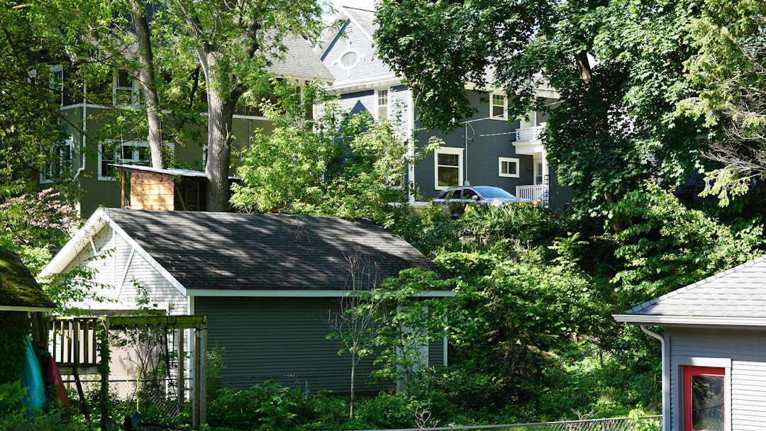 Houses and buildings surrounded by lush green trees.