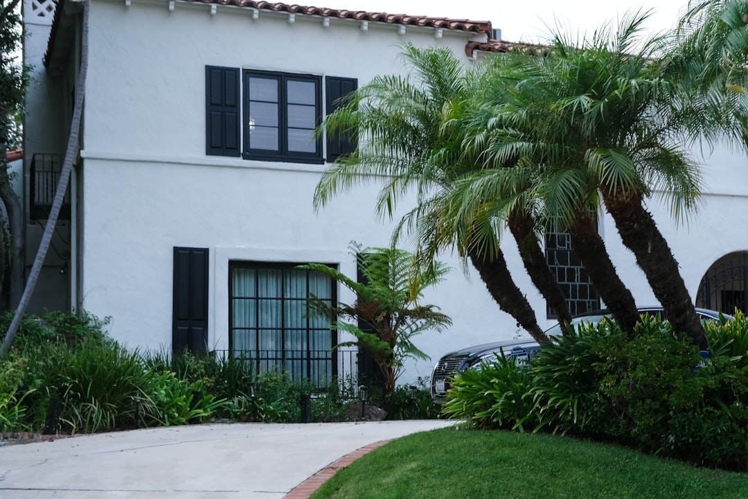 White stucco house with palm trees and lush greenery.