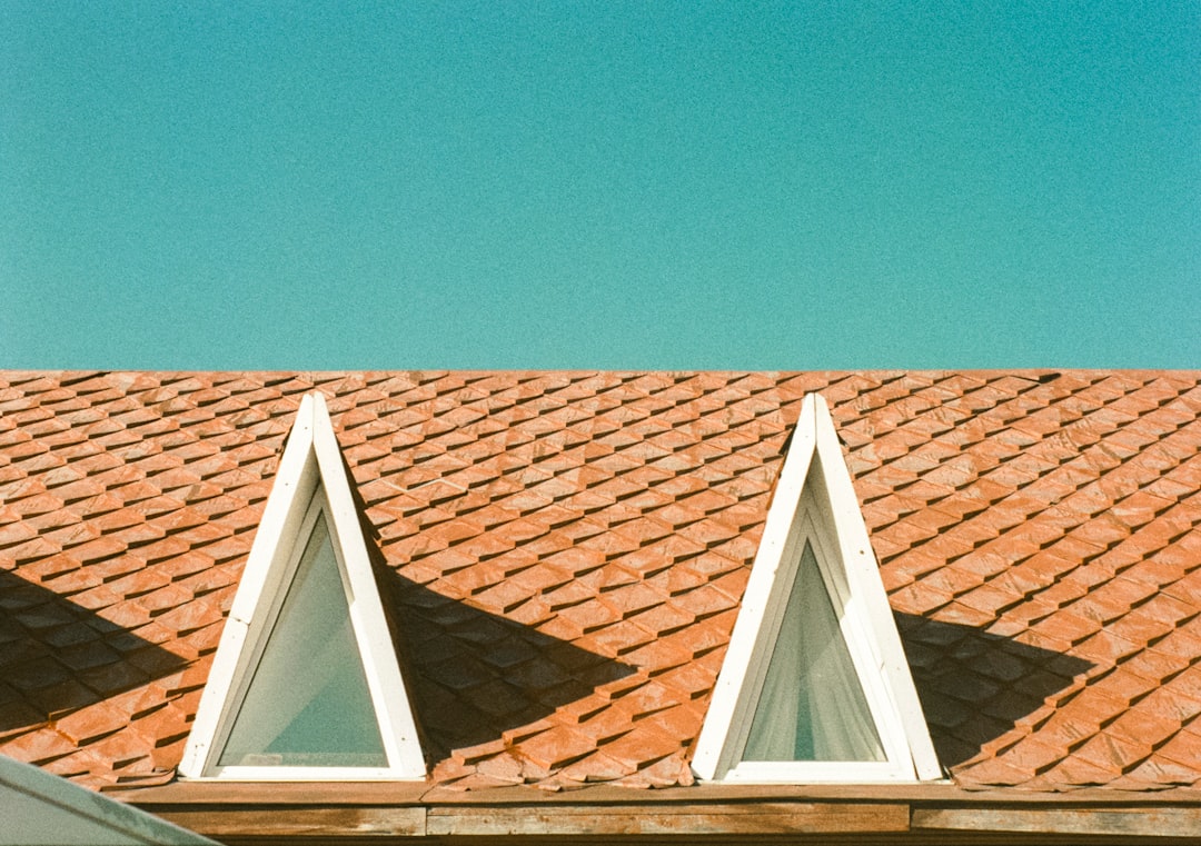 Two triangular dormer windows on a tiled roof.