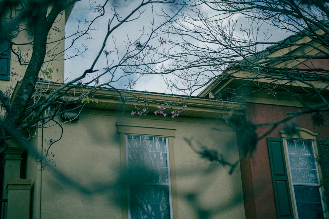 Bare tree branches in front of houses under cloudy sky