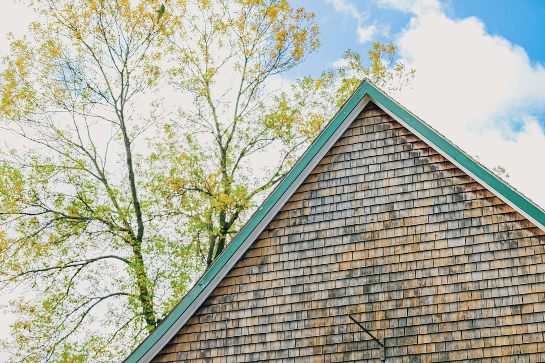 Wooden shingles on a roof with trees and sky.