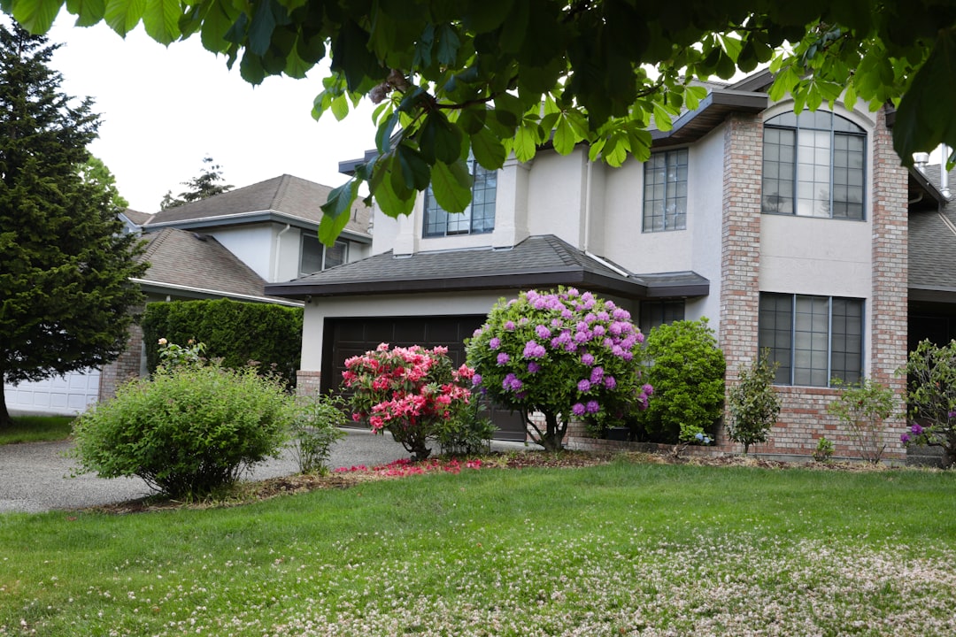 Large house with flowering rhododendrons and a green lawn.