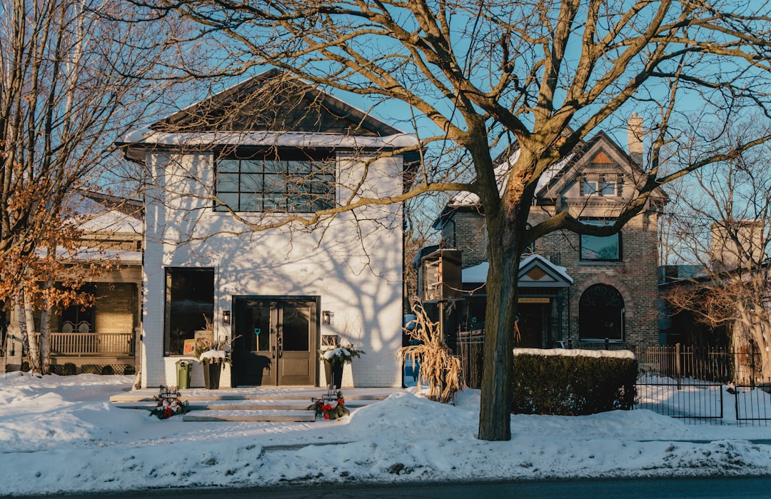 Two houses on a snowy street with bare trees