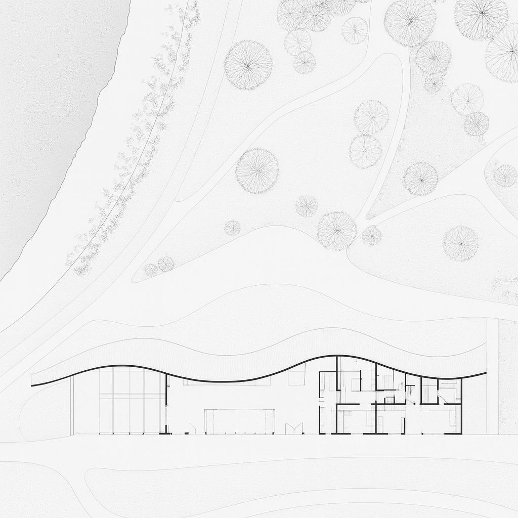 Timber Canopy Civic Hub concept image 4