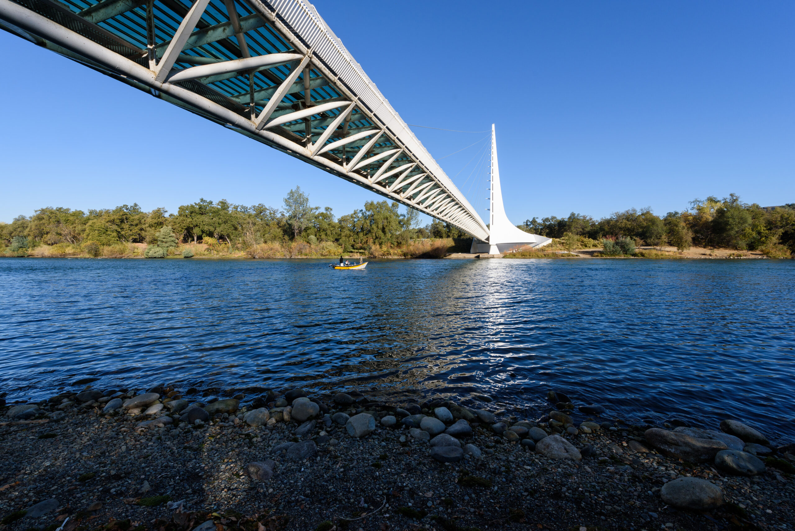 top-10-pedestrian-bridges-with-memorable-design-8