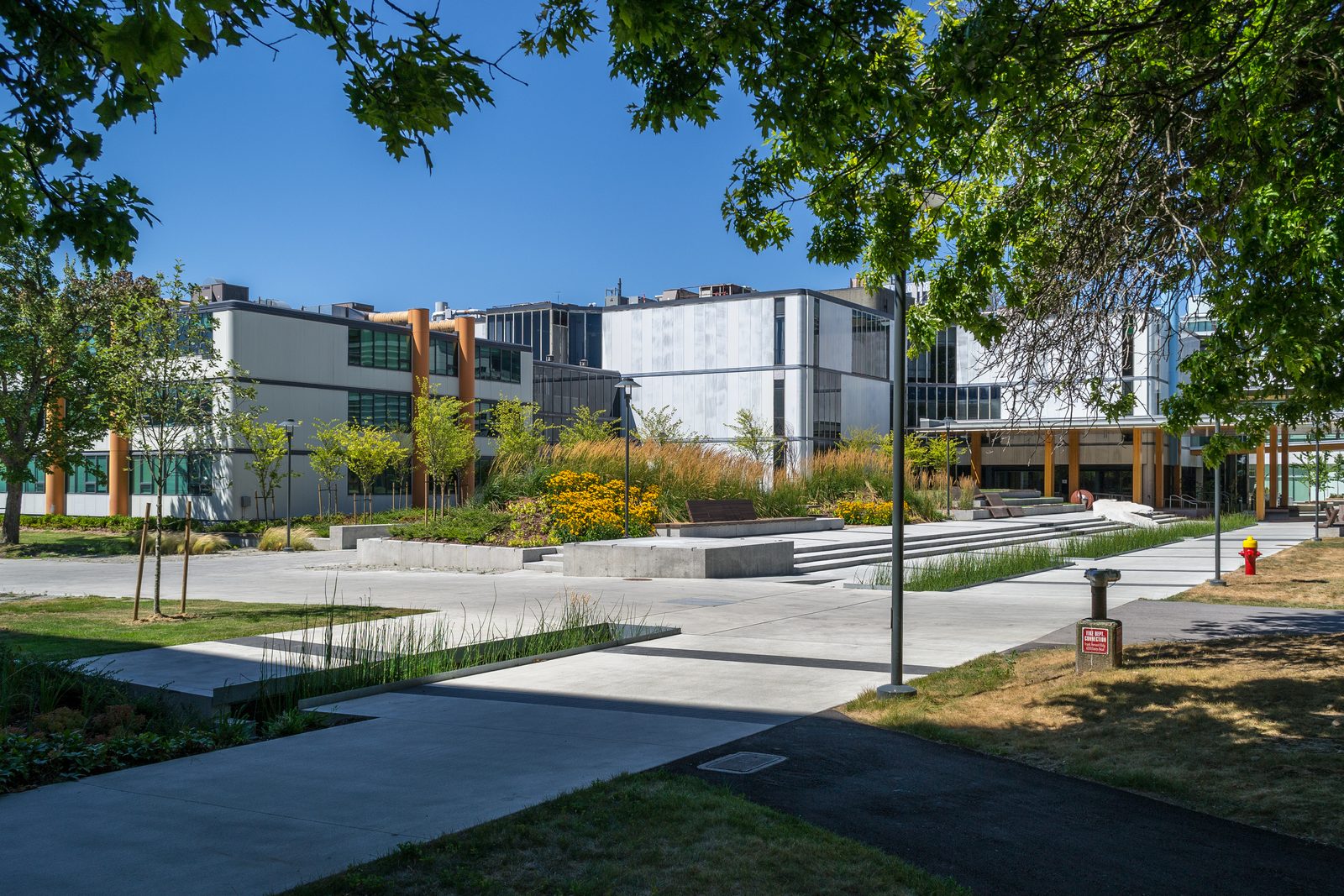 Modern home interior design inspiration featuring visible glulam structures and daylight exposure akin to UBC Earth Sciences Building’s workspace.