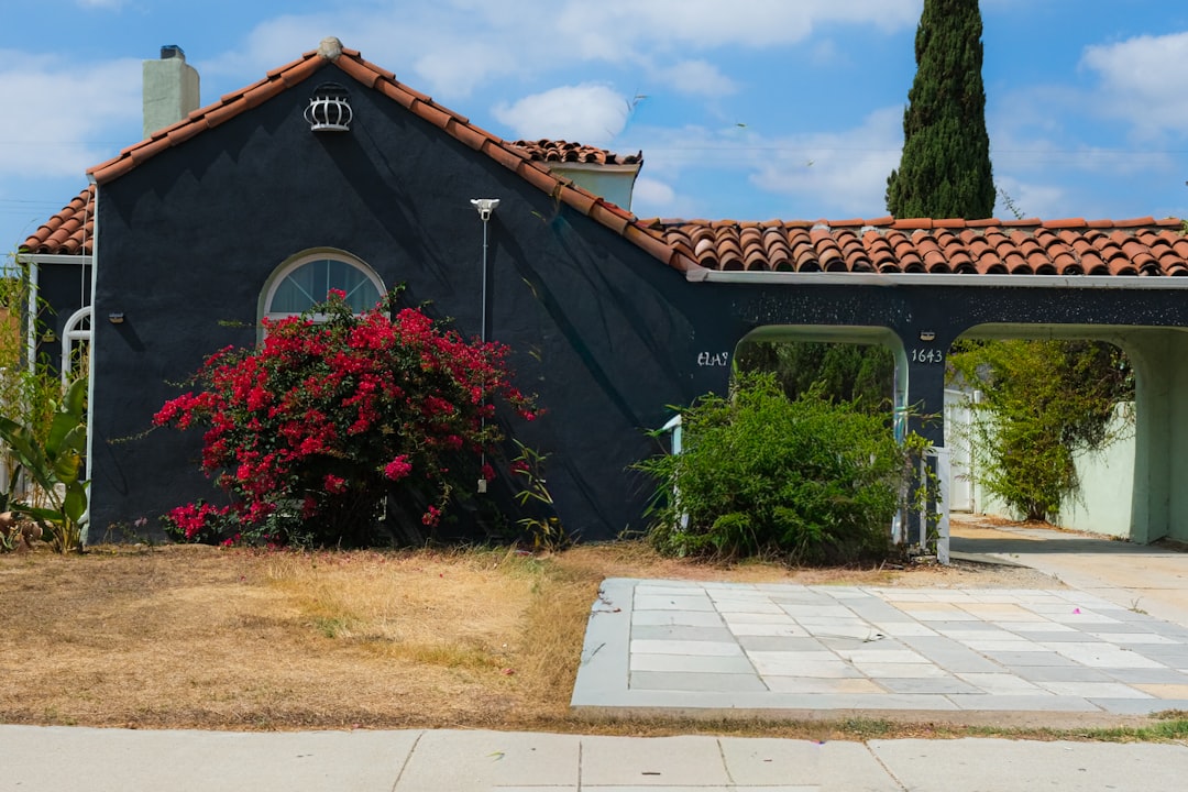 Dark house with red flowers and a carport.