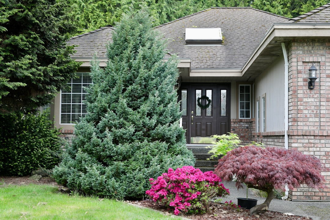 A suburban house with a manicured garden entrance.
