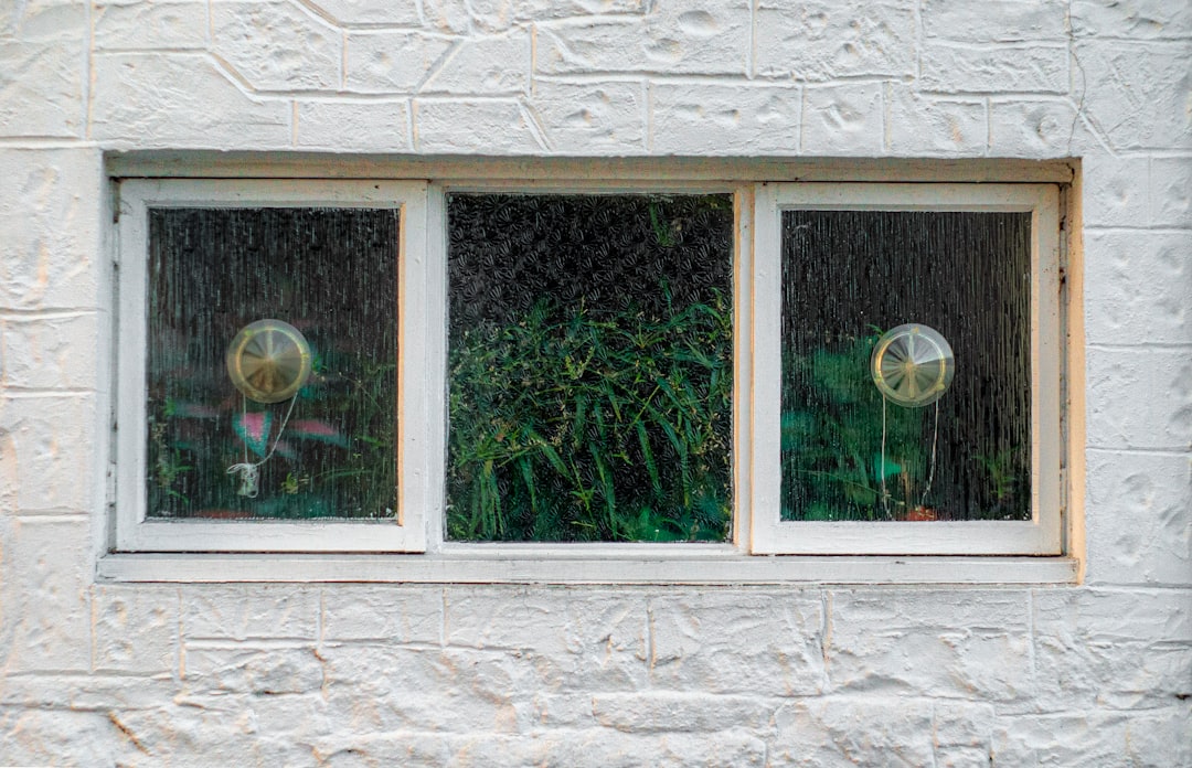 Three windows with glass globes and greenery