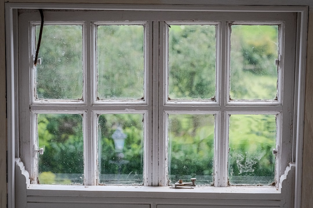 a window with a bird sitting on the window sill