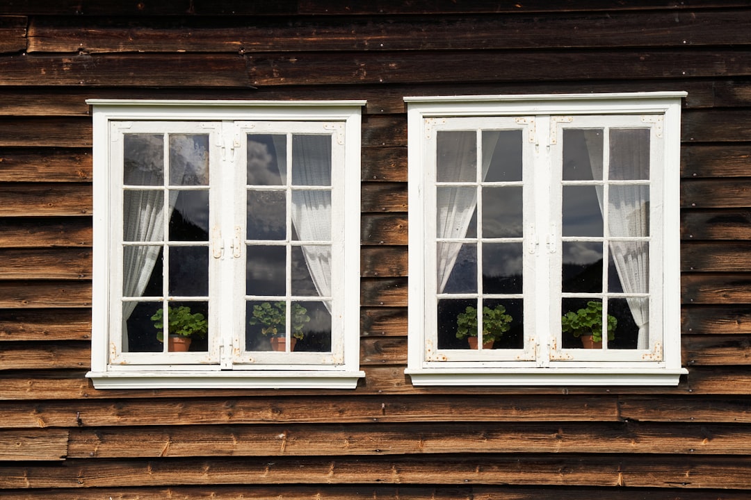 a couple of windows with plants in them