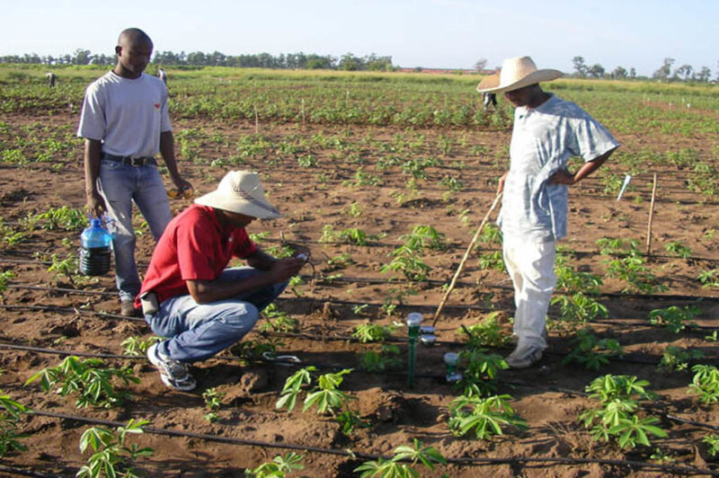 Evaluating moisture content with soil moisture meters