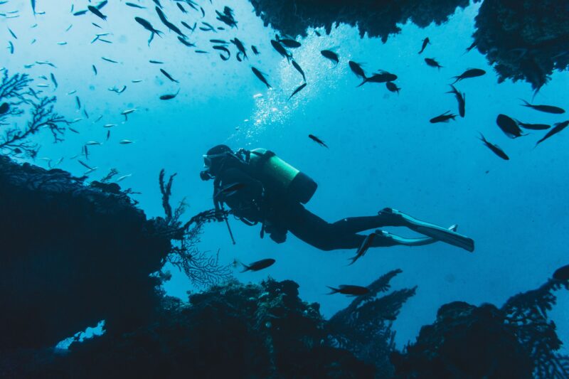 A diver swimming through a vibrant school of fish in a lively underwater ecosystem.