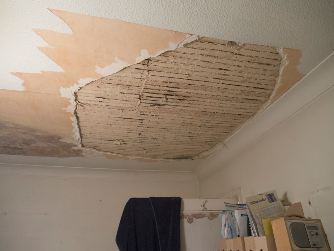 Building work, building project, home improvement, and renovation.